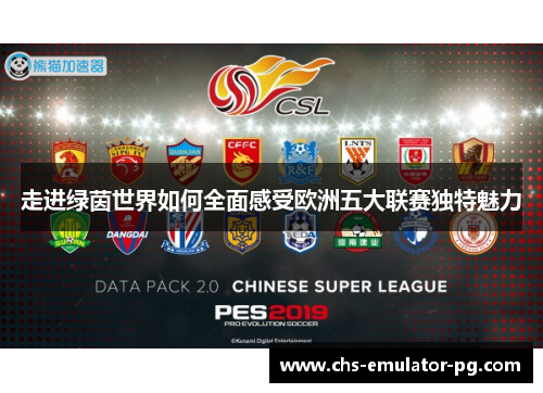 走进绿茵世界如何全面感受欧洲五大联赛独特魅力