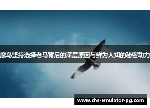 魔鸟坚持选择老马背后的深层原因与鲜为人知的秘密动力 魔鸟坚持选择老马背后的深层原因与鲜为人知的秘密动力